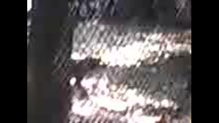 Видео - 0001