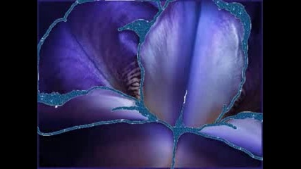 Enya - Stars And Midnight Blue
