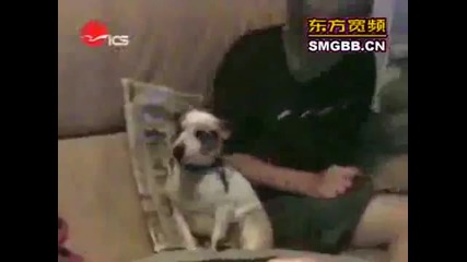 Смешки ;dd