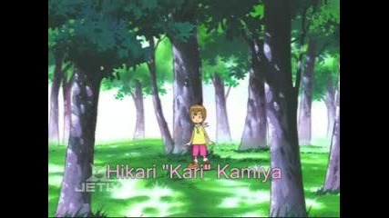 Hikari Yagami - A Girl Like You