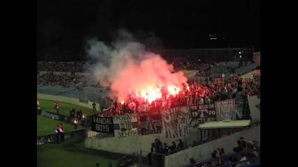 Grobari Partizan Serbia The Best Of The World