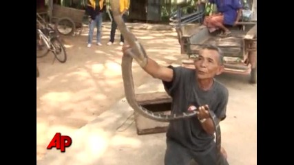 Най - екстремният спорт на света Бокс с кобра!!!