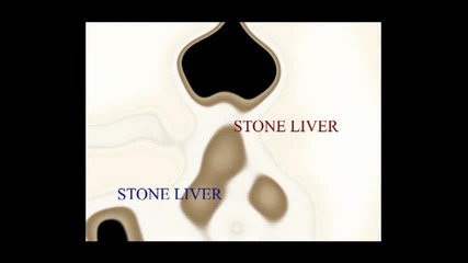 Stone Liver - This ain't dance music