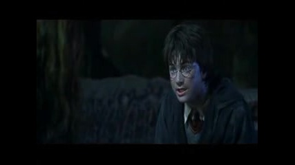 My Happy Ending Harry & Ginny