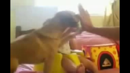 Детето или пък кучето.. :d 