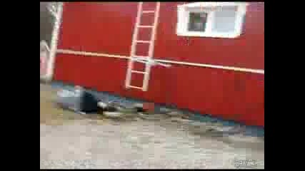 Глупак пада много лошо по гръб 