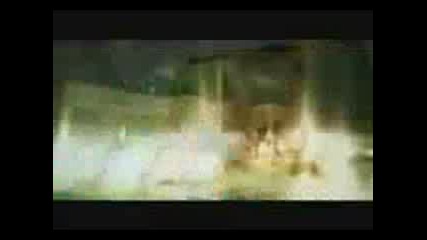 New 2010 ! Lady Gaga ft Nicole - Calling you