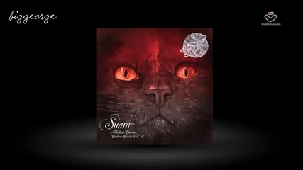Mladen Tomic - Positions ( Original Mix ) Preview [high quality]