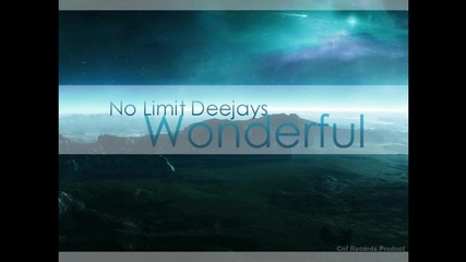 No Limit Deejays - Wonderful