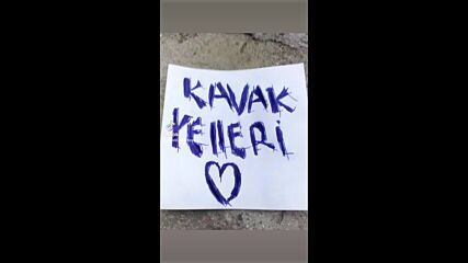 Vid_40420110_051928_311.mp4