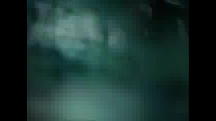 Stay Alive Music Video