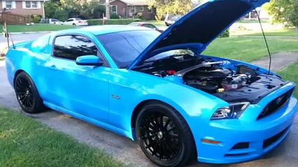 2013 Mustang Gt 5.0 Premium