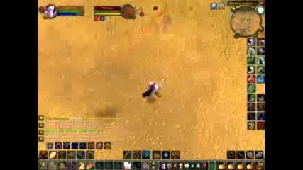 Wow-paladin Pvp