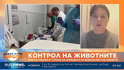 Янка Попова, НОКА: В стадото във Велинградско не се наблюдава смъртност при животните