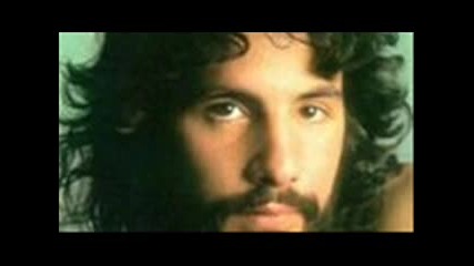 Cat stevens - wild world