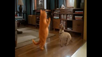 Garfield - Garfield And Odie Dance