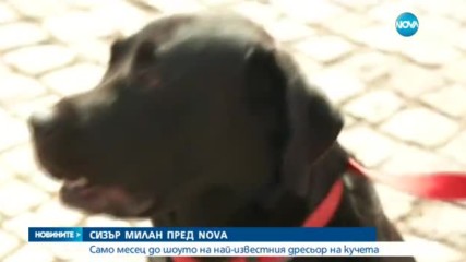 ЕКСКЛУЗИВНО ПРЕД NOVA: Сизър Милан разкри как е започнал да общува с животни