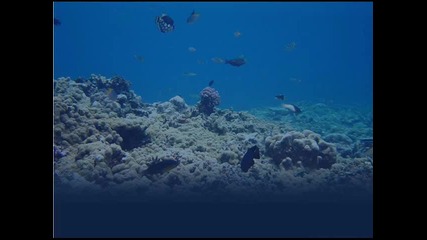 Six Days At The Bottom Of The Ocean - Explosions In The Sky 