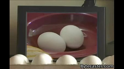 Scared Eggs