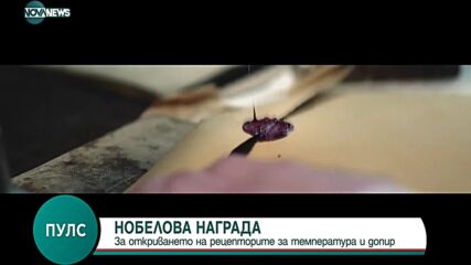 Двама медици с Нобелова награда за медицина