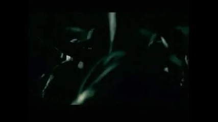 Afi - The Leaving Song Part Ii 