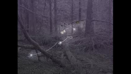 October Falls - Marras