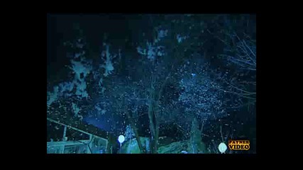 Галена Само За Ден Прикзна Нощ