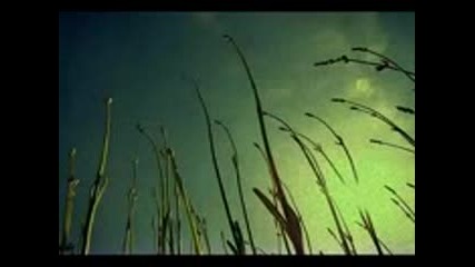 House Music 2010 New Hits !!! 