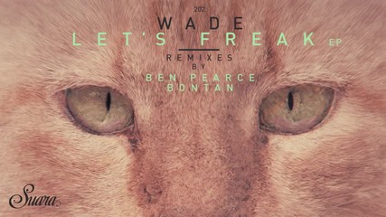 Wade - Trucco (original Mix) [suara]