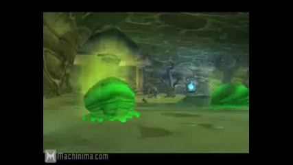 Bacteria