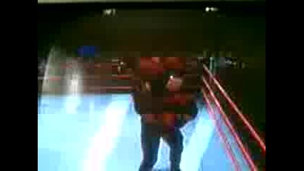 Undertaker Finisher 