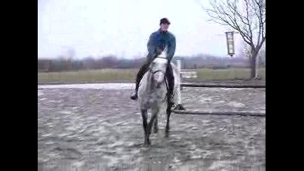 17.XI.2007 - Рени и Голд Мен