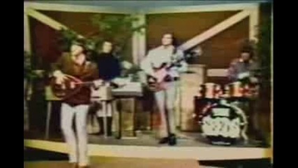 The Seeds - Pushin Too Hard 1967