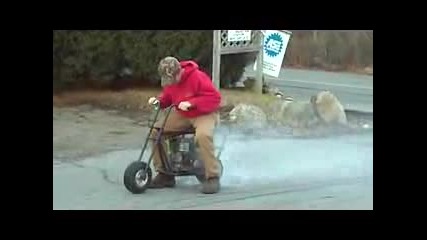 Insane Mini Bike Crash