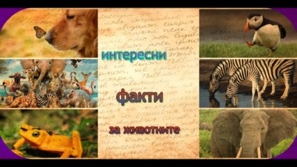 интересни факти за животните