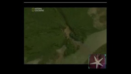 ! Критична Ситуация: Спасителна Мисия - 4