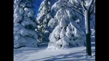Коледна елха - Акварела