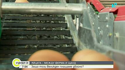 Какъв е пътят на яйцето и защо цената му расте в магазина