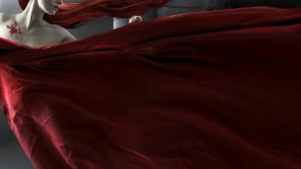 Evanescence - Like You 
