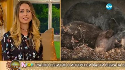 "Да оцелееш като родител" - На кафе (23.02.2017)