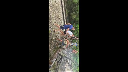 Доброволци от горнооряховско село освободиха главна ЖП линия от паднало дърво след порой