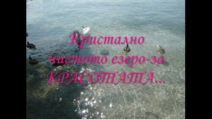 Как Качеставата и чуствата играят на криеница...