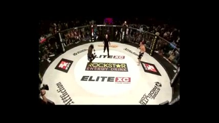 The best Mma and K1 Knockouts