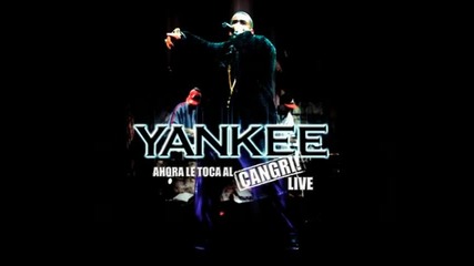Daddy Yankee - Se Acelera El Flow - Live 