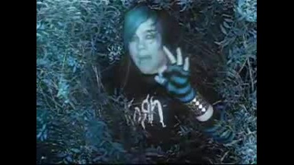 Scene kids