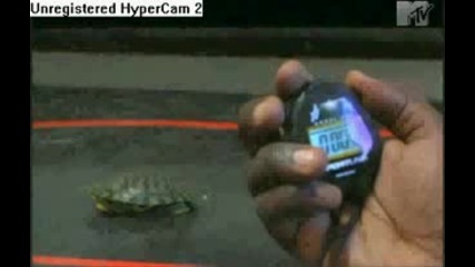 Rob & Big - Turtle Training