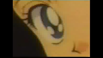 Sailor Venus Amv