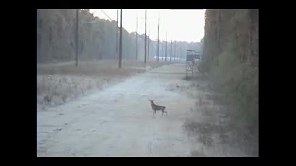 Ловеца на годината ! Малка сърничка му се подиграва ! 