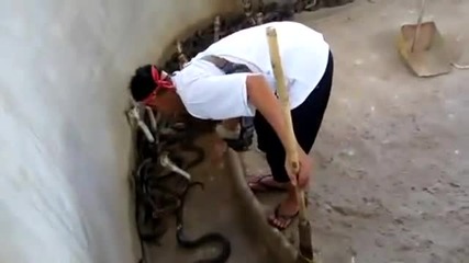 Луд човек размята опасни змии