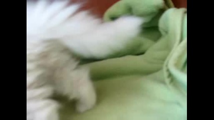 Mov04526